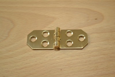 Decorative Polished Brass Hinges (pair) - prokraft